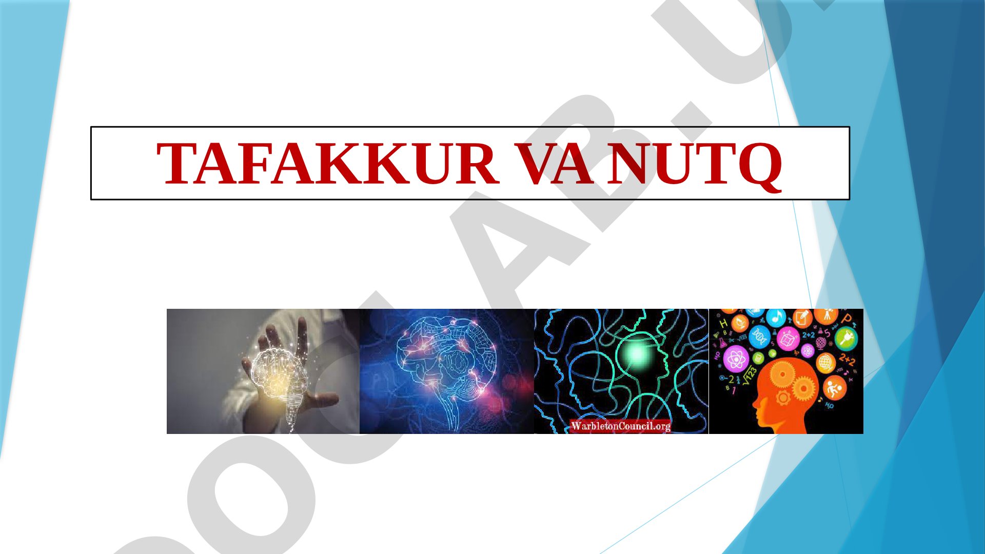 Tafakkur va nutq psixologiyasi