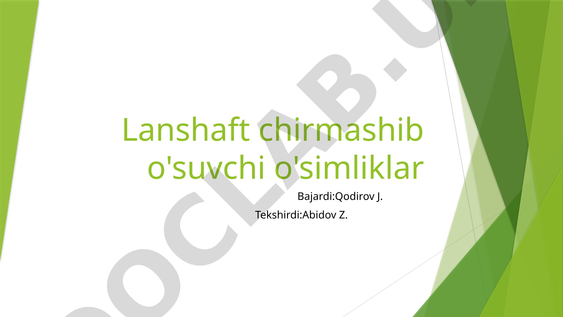 Lanshaft chirmashib o'suvchi o'simliklar