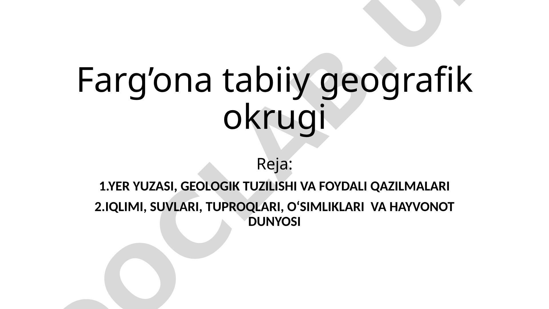 Farg'ona tabiiy geografik okrugi