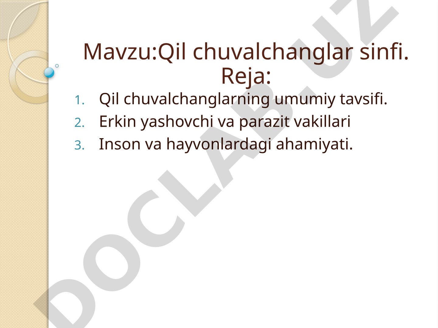 Qil chuvalchanglar sinfi