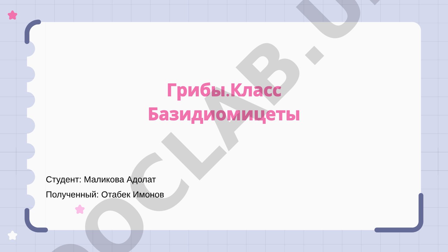 Презентация о базидиомицетах: характеристика, жизненный цикл, экономическое значение