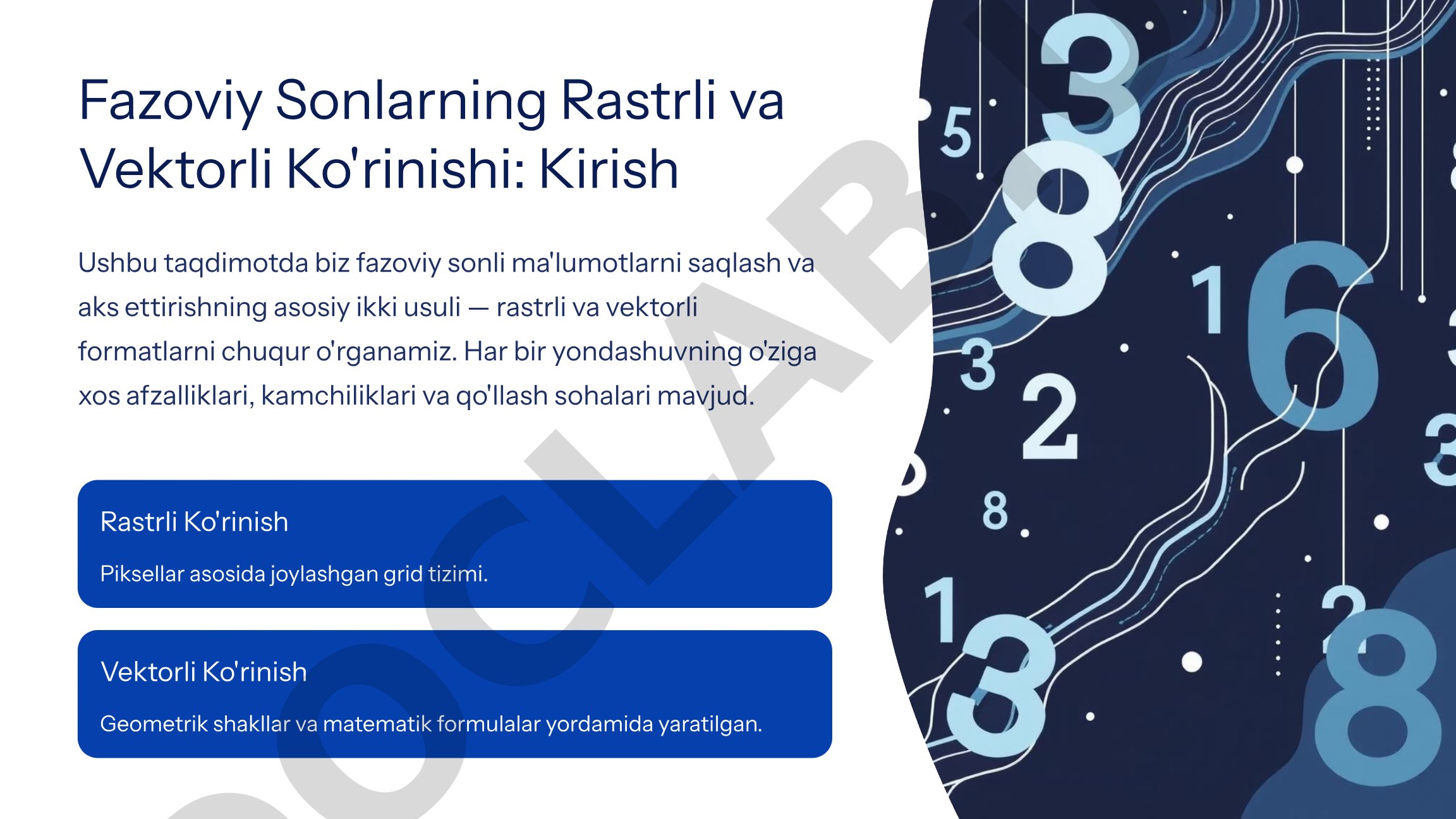 Fazoviy sonlarning rastrli va vektorli ko'rinishi