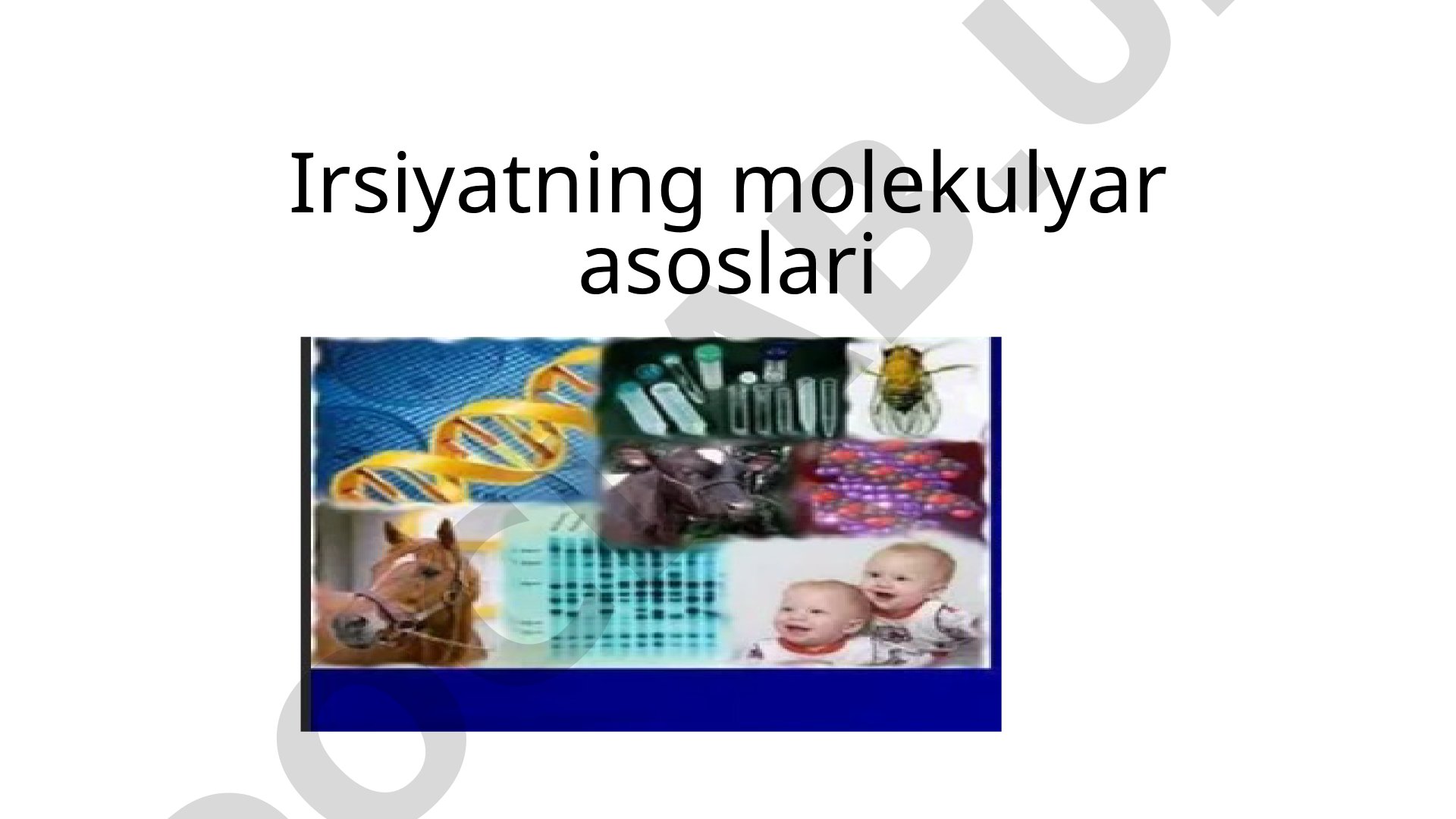 Irsiyatning molekulyar asoslari