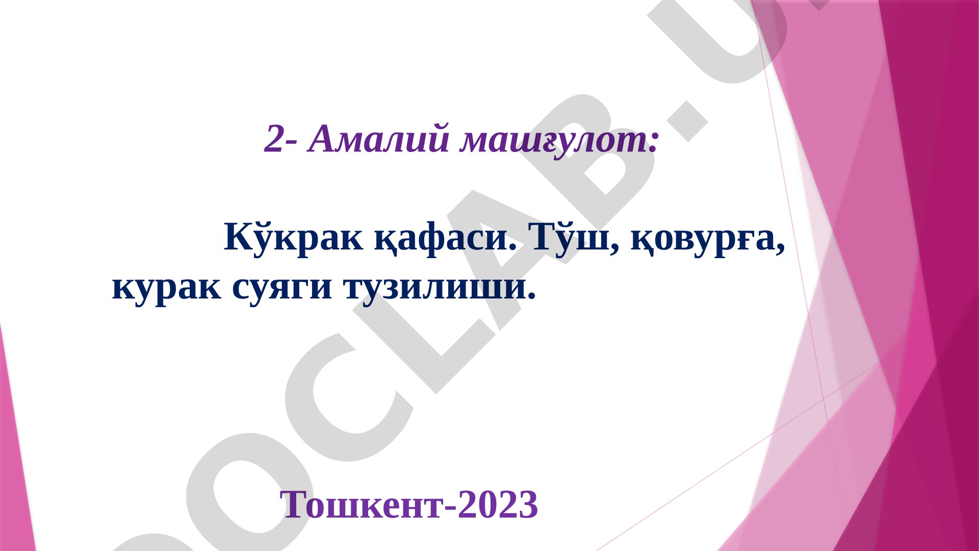 Кўкрак қафаси: тўш, қовурға, курак суяги тузилиши
