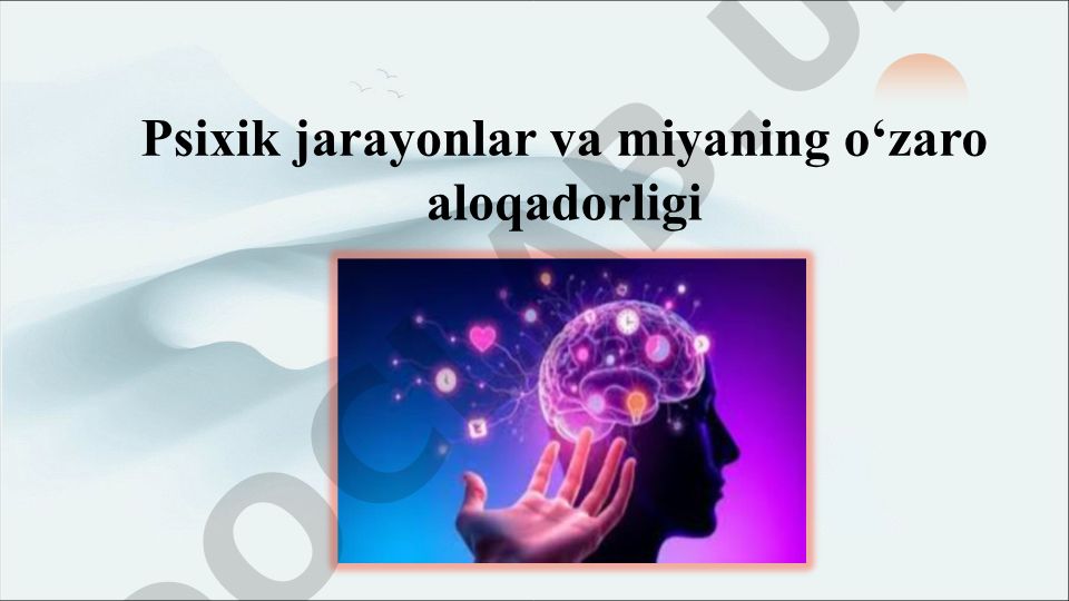 Psixik jarayonlar va miyaning o'zaro aloqadorligi