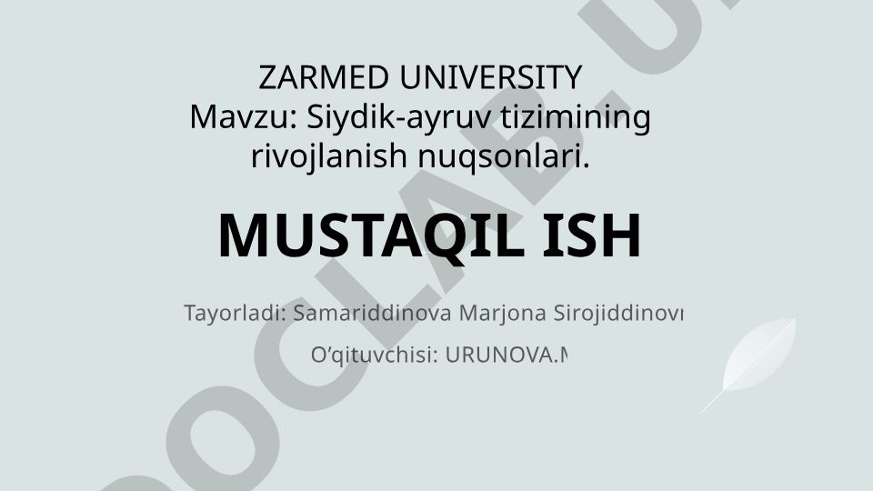 Siydik-ayruv tizimining rivojlanish nuqsonlari