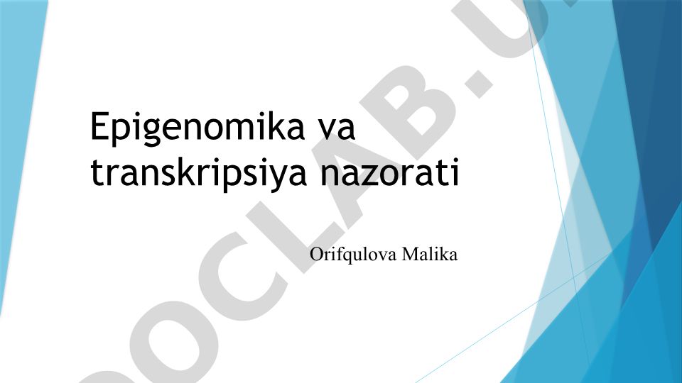 Epigenomika va transkripsiya nazorati
