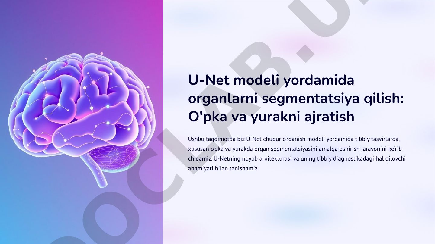 U-Net modeli yordamida organlarni segmentatsiya qilish: O'pka va yurakni ajratish