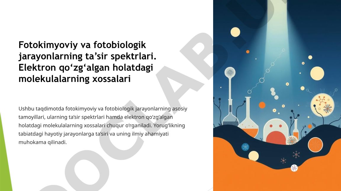 Fotokimyoviy va fotobiologik jarayonlarning ta'sir spektrlari va elektron qo'zg'algan molekulalar