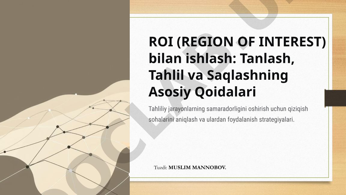 ROI (Region of Interest) bilan ishlash: Tanlash, Tahlil va Saqlashning Asosiy Qoidalari