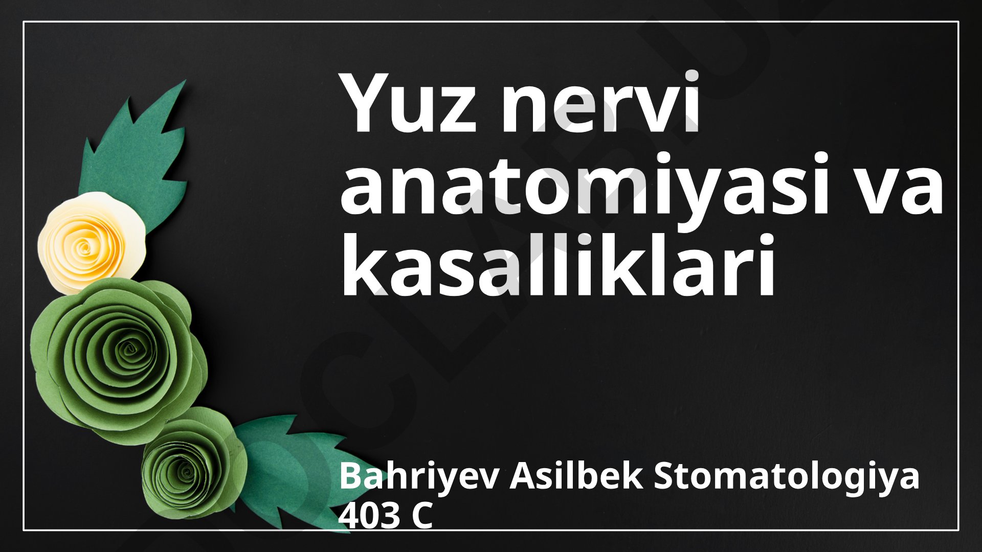 Yuz nervi anatomiyasi va kasalliklari