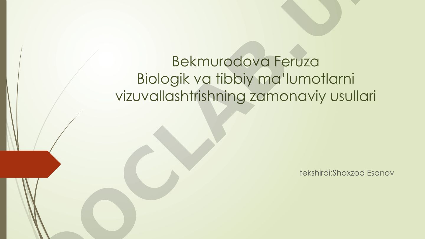 Biologik va tibbiy ma'lumotlarni vizuallashtirishning zamonaviy usullari
