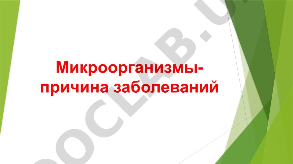 Микроорганизмы как причина заболеваний