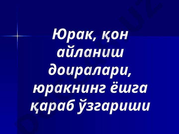 Юрак ва қон айланиш доиралари