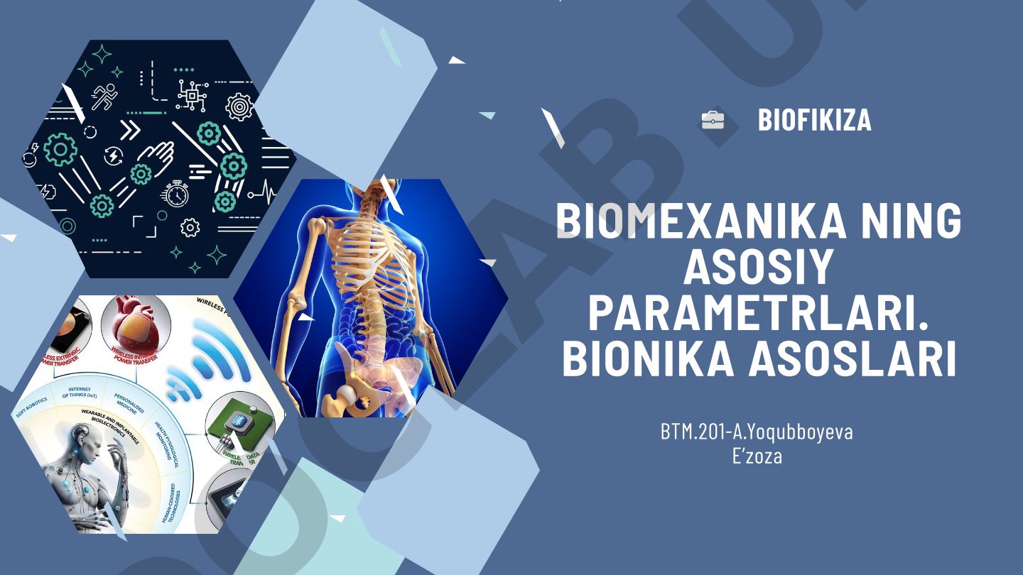 Biomexanika va bionikaning asosiy tushunchalari va qo'llanilish sohalari
