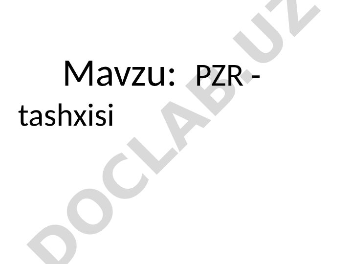 PZR - tashxisi