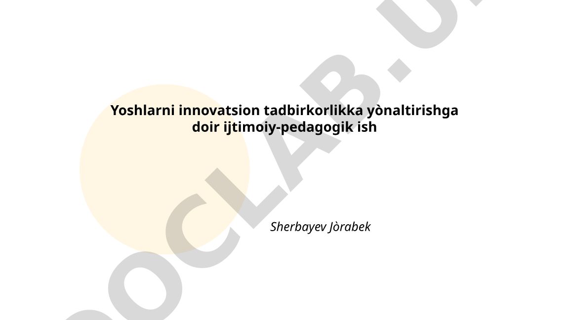 Yoshlarni innovatsion tadbirkorlikka yo'naltirishda ijtimoiy-pedagogik konsepsiyalar
