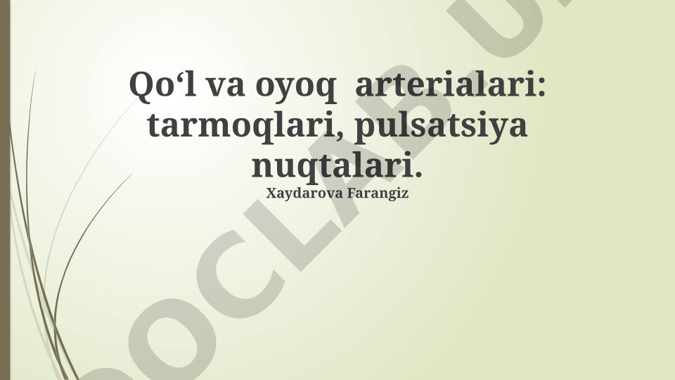 Qo‘l va oyoq arterialari: tarmoqlari, pulsatsiya nuqtalari