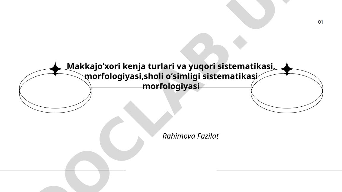 Makkajoʻxori kenja turlari va yuqori sistematikasi, morfologiyasi