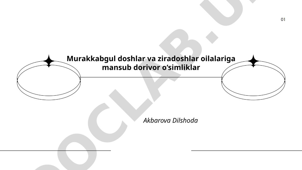 Murakkabgul va ziradoshlar oilalariga mansub dorivor o'simliklar