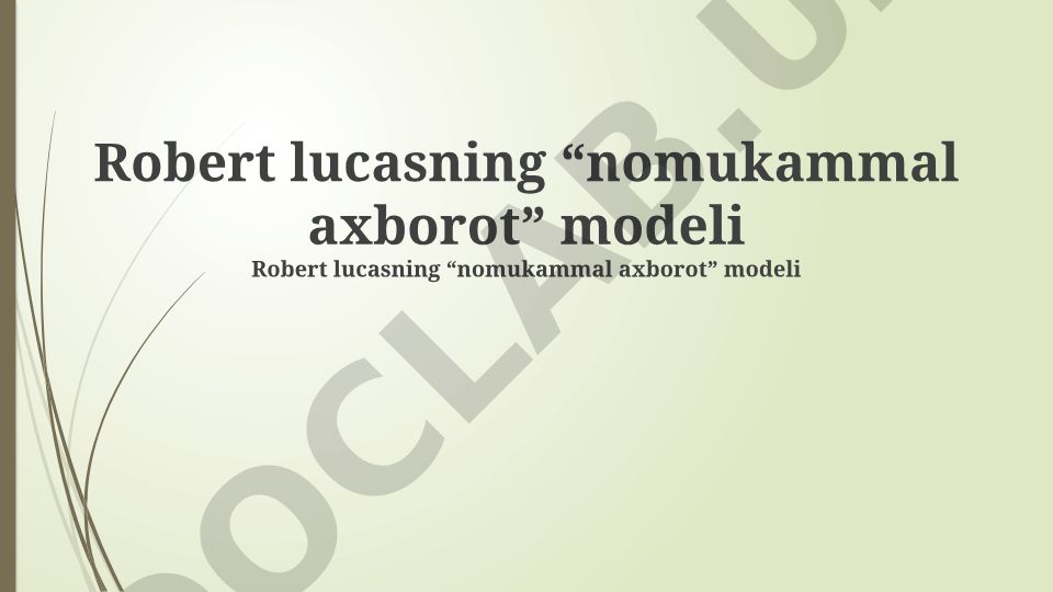 Robert Lucasning nomukammal axborot modeli