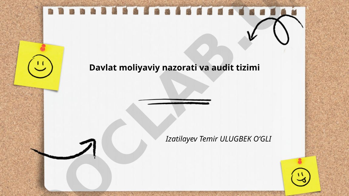 Davlat moliyaviy nazorati va audit tizimi