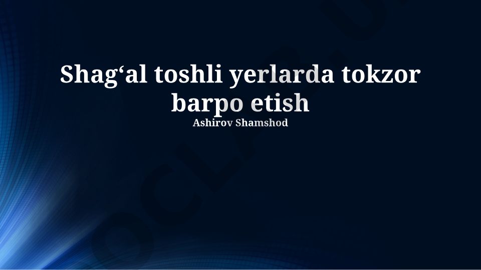 Shagʻal toshli yerlarda tokzor barpo etish