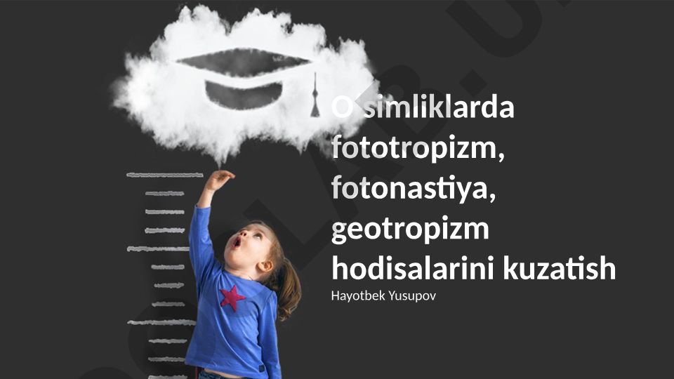 Oʻsimliklarda fototropizm, fotonastiya, geotropizm hodisalarini kuzatish