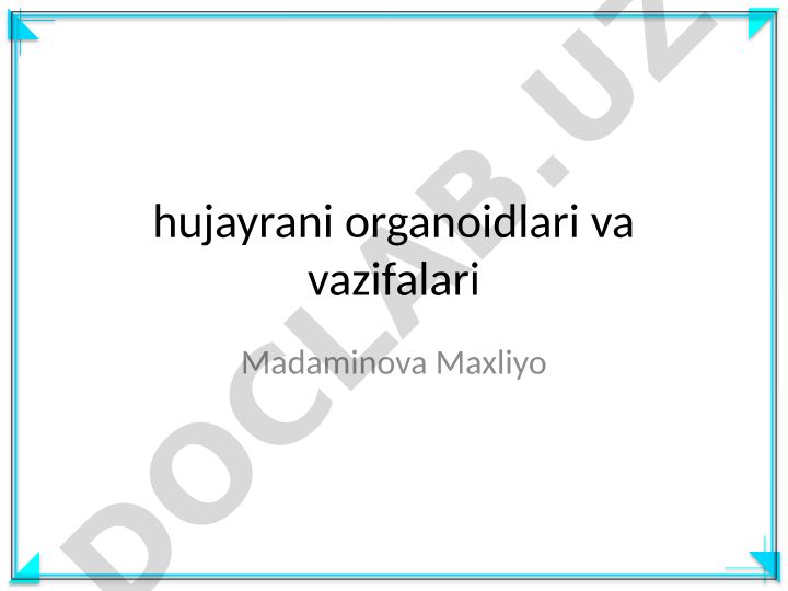 Hujayra organoidlari va vazifalari