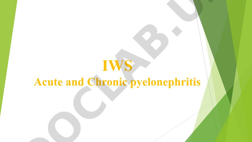 Acute and Chronic Pyelonephritis