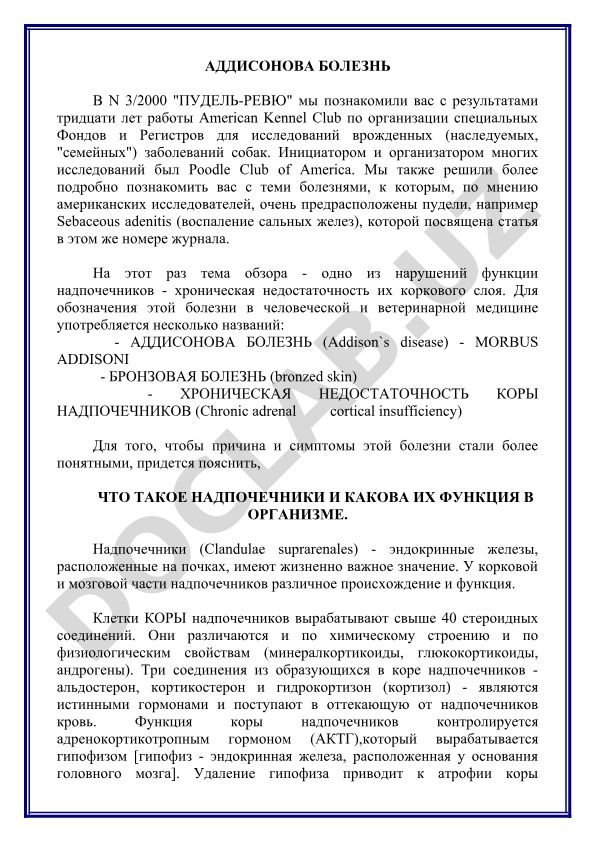 Аддисонова болезнь у пуделей: хроническая недостаточность коры надпочечников
