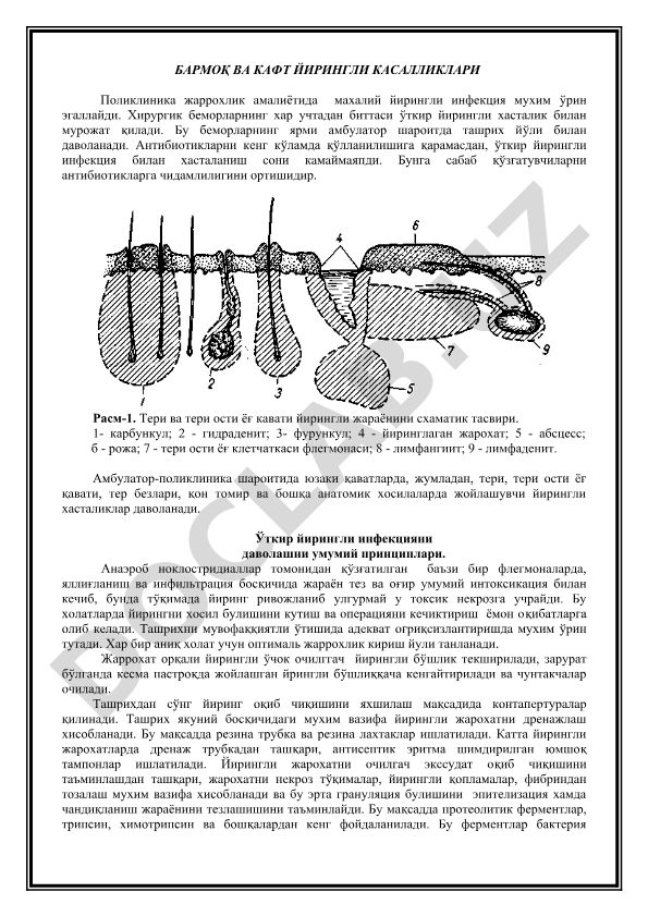 Бармок ва кафт йирингли касалликлари