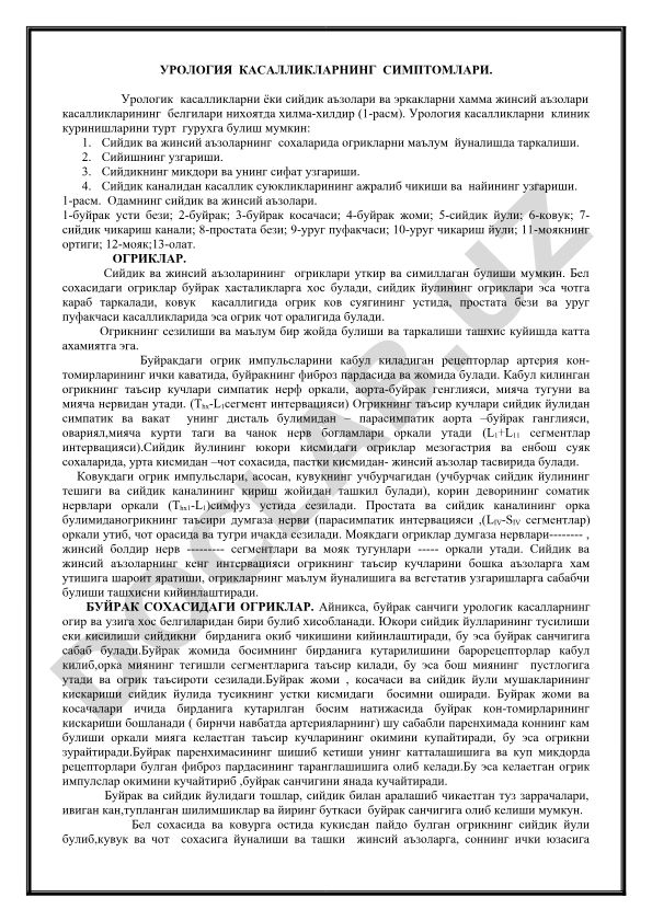Urologiya kasalliklarining simptomlari va klinik ko'rinishlari