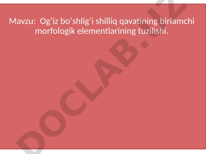Ogʻiz boʻshligʻi shilliq qavatining birlamchi morfologik elementlarining tuzilishi
