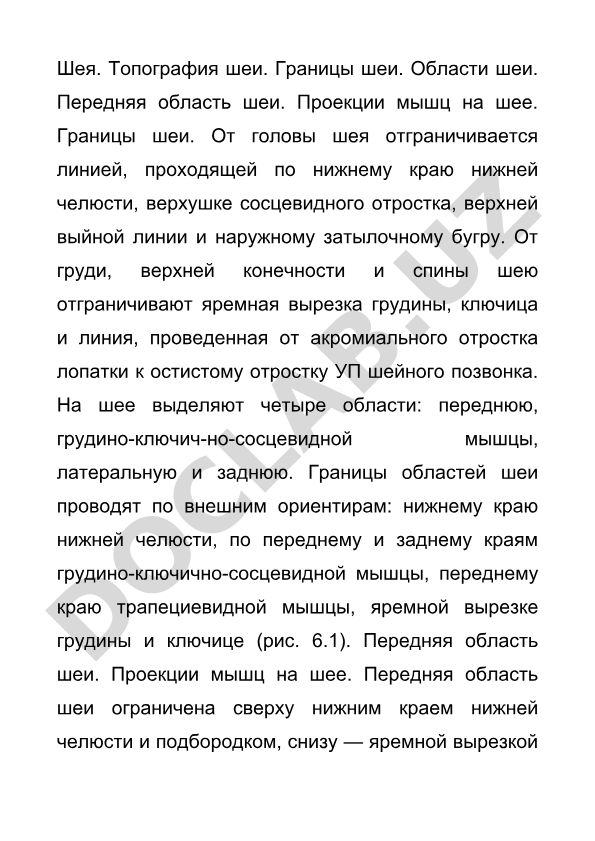 Шея. Топография шеи. Границы и области шеи