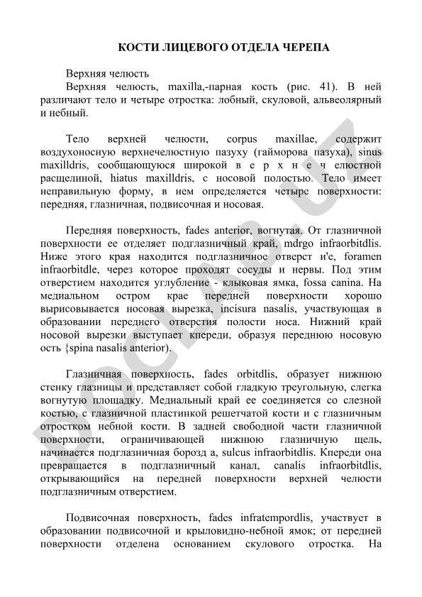 Верхняя челюсть: строение и анатомические особенности