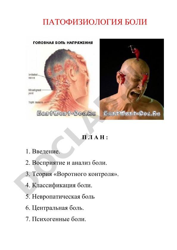 Патология боли: восприятие, классификация и механизмы