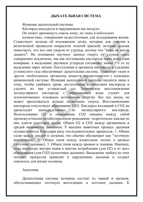 Дыхательная система и ее функции