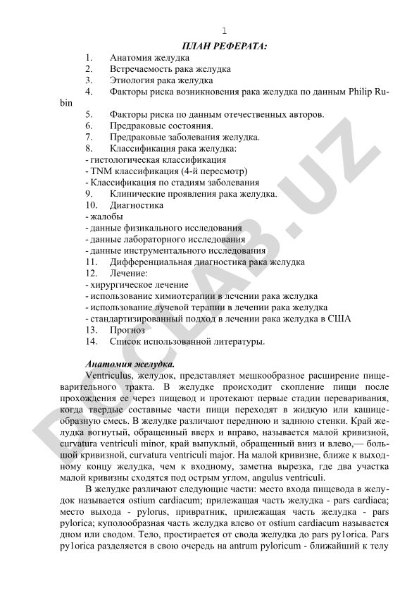 Анатомия желудка и рак желудка: этиология, диагностика и лечение