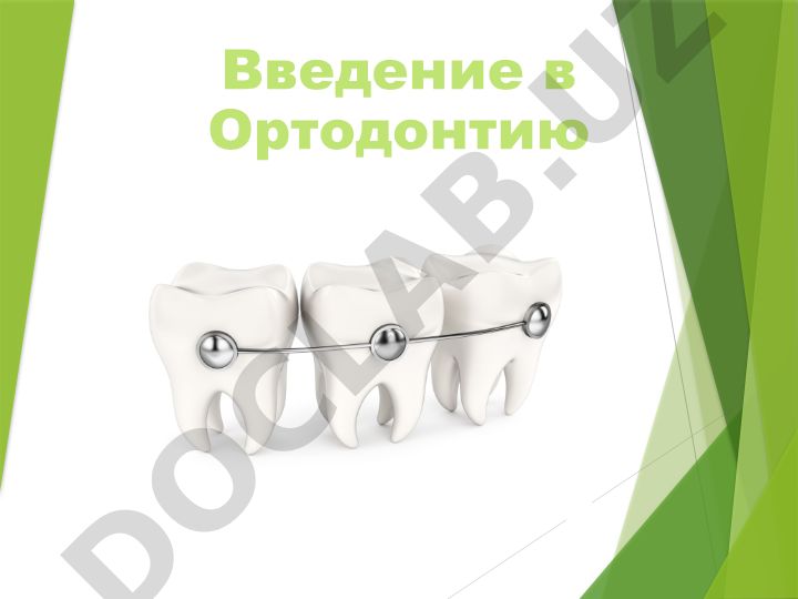 Введение в ортодонтию: наука, классификации, диагностика и лечение
