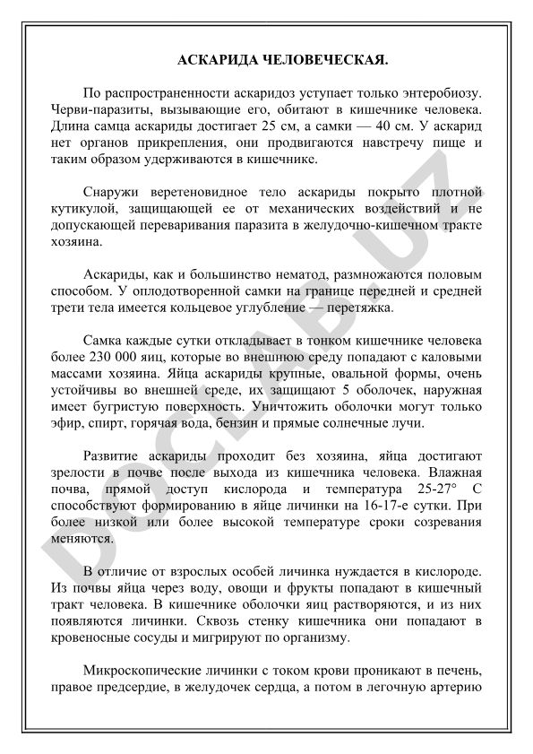 Аскарида человеческая: строение, размножение и устойчивость яиц