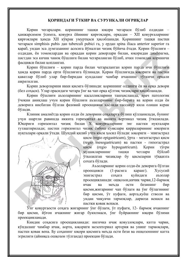 Қорин бўшлиғи анатомияси ва касалликларини ташҳислаш