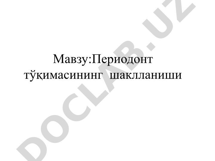 Периодонт тўқимасининг шаклланиши