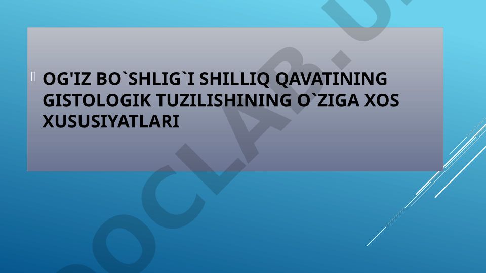 Og'iz bo'shlig'i shilliq qavatining gistologik tuzilishi