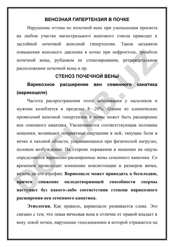 Венозная гипертензия в почке и варикоцеле