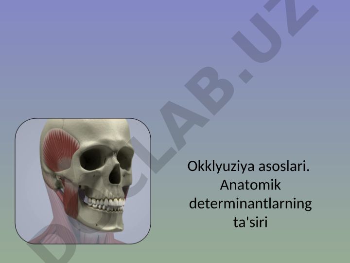 Okklyuziya asoslari va stomatologik amaliyot