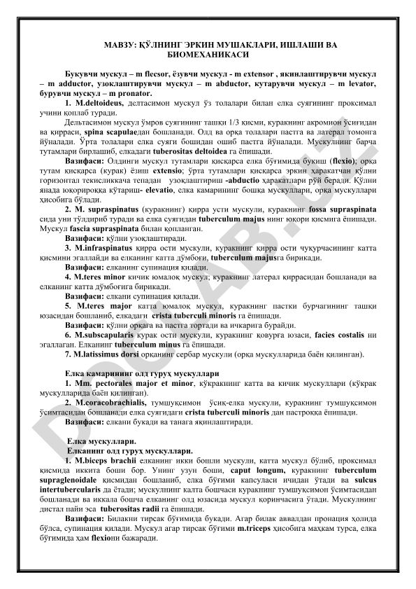 Қўлнинг эркин мушаклари, ишлаши ва биомеханикаси