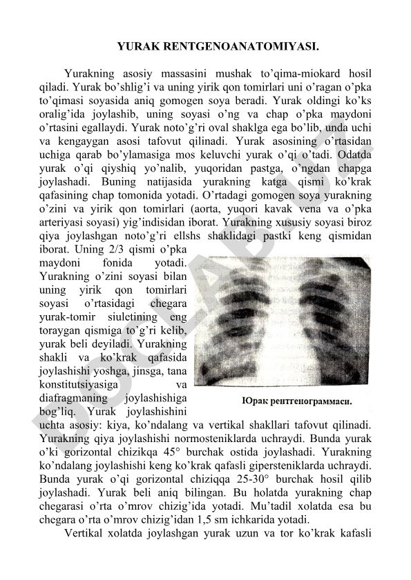 Yurak rentgenoanatomiyasi