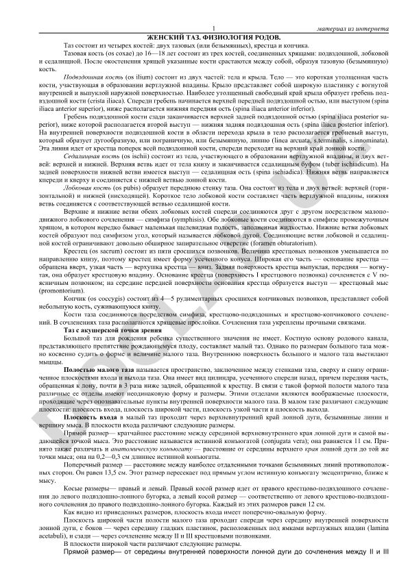 Женский таз: анатомия и физиология родов