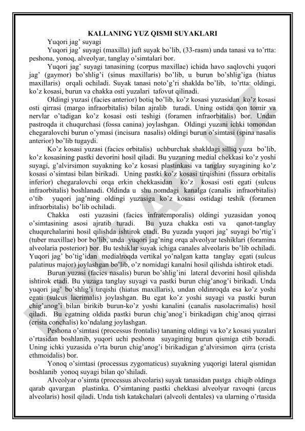 Kallaning yuz qismi suyaklari: yuqori jag' suyagi tuzilishi